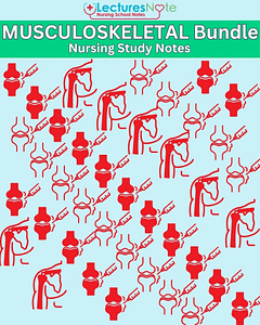 Musculoskeletal Health Bundle nursing study notes