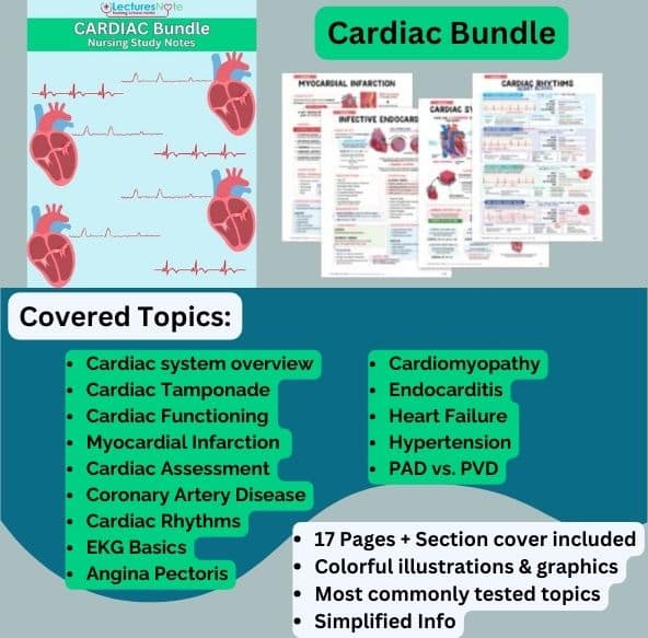 Cardiac Bundle nursing study notes