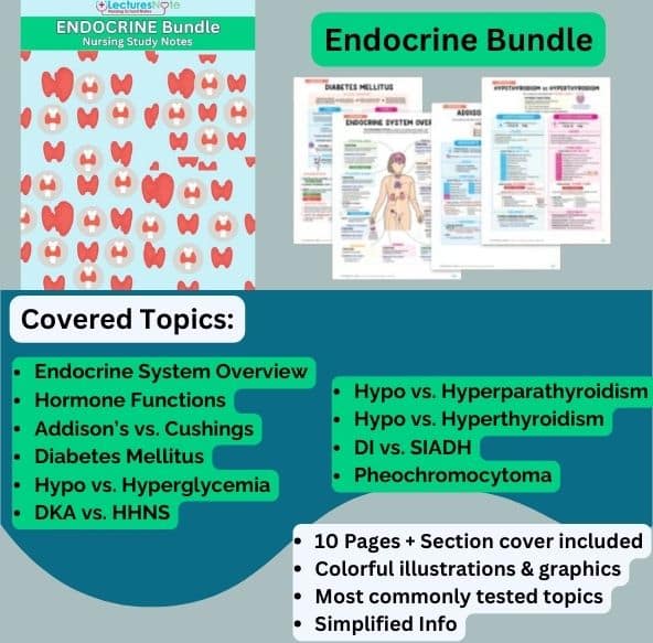 Endurance Bundle nursing study notes