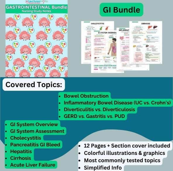 Gastrointestinal Bundle nursing study notes