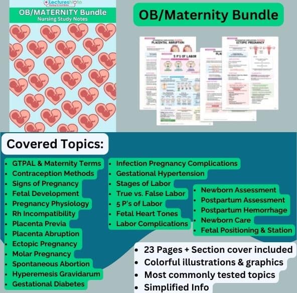 OB/ Maternity Bundle Nursing Study Notes