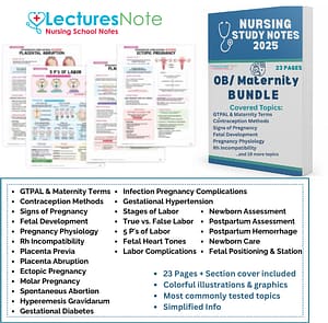 OB/ Maternity Bundle nursing notes